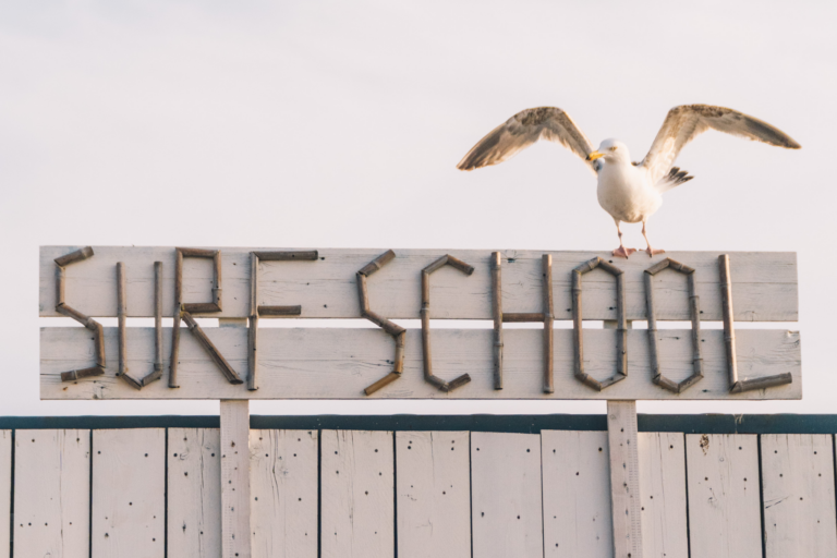 Surfana Zandvoort surf school